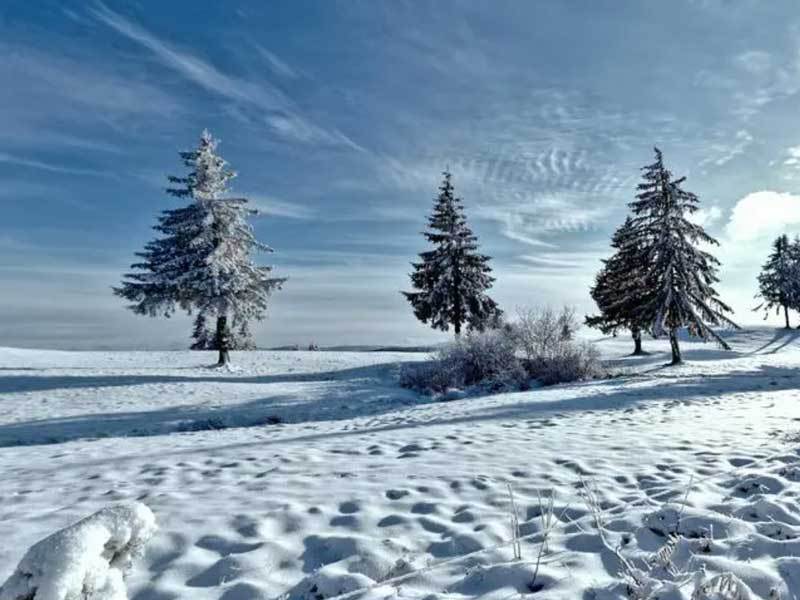 热門(mén)动漫推出周(zhōu)边产品，粉丝抢购